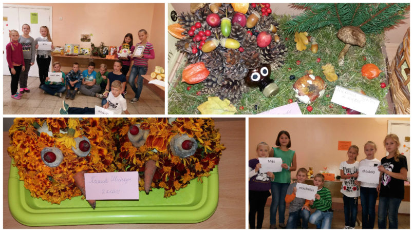 Rudens krašņums skolā