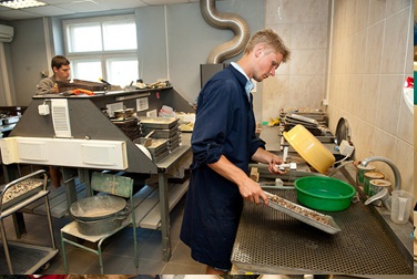 „Profesiju pasaulē!”