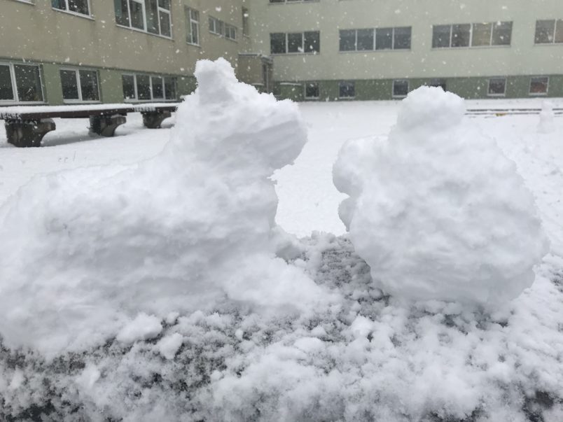 Vai ekonomiku iespējams apgūt praktiski ārpus skolas sola?