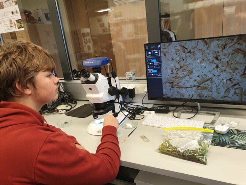 Citāda mācību stunda